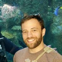 Le foto di Judah Margoli