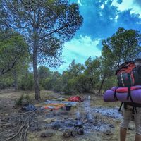 Oussama Boukoufallah的照片