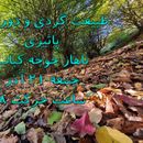 طبیعت گردی پاییزی's picture