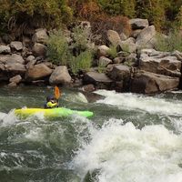 Cara Applestein's Photo