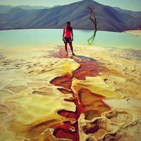 Angélica  Barrera's Photo