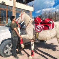 Jozef Blackstone的照片