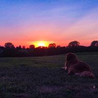 Kenzie Elliott's Photo