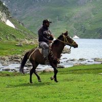 Ankit Wachhal's Photo