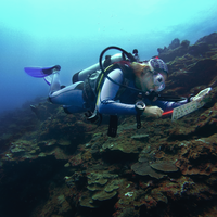 Luisa Fernanda  Muñoz Castro的照片