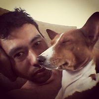 Daniel Lopes的照片