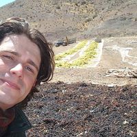 Fotos de Marcos Hohenberger