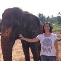 Karin Brunnemann的照片