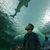 Photos de Yeisson Salamanca