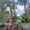 Juan Rey's Photo