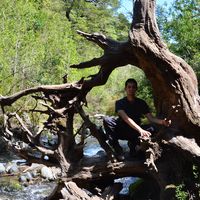 Alvaro Puyo Calvo's Photo