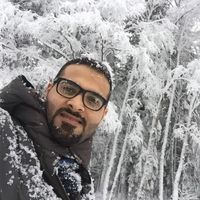 Photos de Hecham Harouni