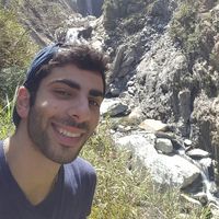 Saleem  Haddad's Photo