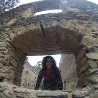 Orly Ariely的照片