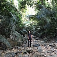 Lahari Reddy的照片