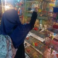 Afnan Aboumossa's Photo