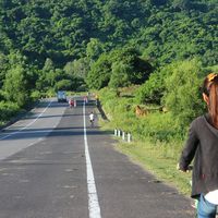 Zdjęcia użytkownika Linh Tran