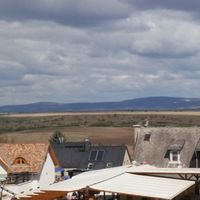 Luisa  Cart的照片