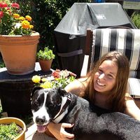 Desi Ferguson's Photo