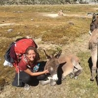 Photos de Lisa  Wigger