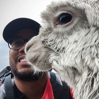 Фотографии пользователя Miguel Rodríguez