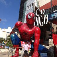 Dennis Fernando的照片