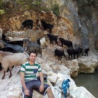 Tahsin Çelik's Photo