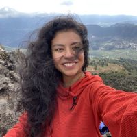 frida (i used to be brigitte)的照片