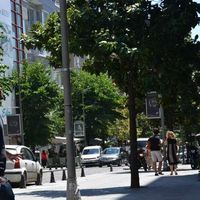 Zura Kublashvili的照片