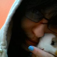 Grazia Di Salvo的照片