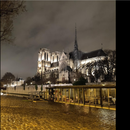 Paris Summer Night Picnic near Notre Dame!'s picture