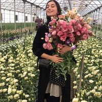 Shima Tagharrob's Photo