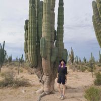 Iris Becerril的照片