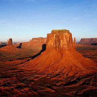 David Calzada Salvia's Photo