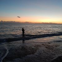 Фотографии пользователя Sarah Walpole