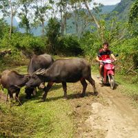 elias jacobs's Photo