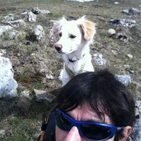 FRANCISCO JAVIER QUESADA GAIBAR's Photo