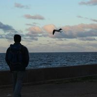 Aléxis Tessele的照片