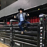 Le foto di Nicolas Alf