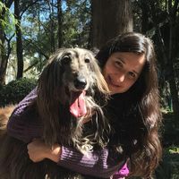 Photos de Ferlún Sarrosé