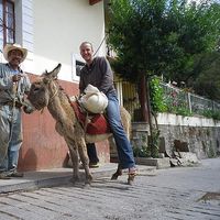 William Remacle's Photo