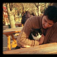 Mehmet Ali Yurt的照片