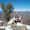 Russell Peterson's Photo