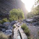 Wadi Qurai Hike And Swim In Hidden Pool's picture