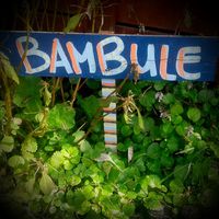 Vaska Rebellon's Photo