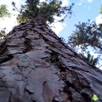 fatima chen的照片