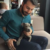 Jamal Gunes的照片