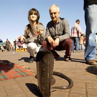 Jose Sánchez Compañy's Photo