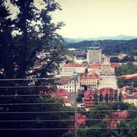 jacqueline lammers's Photo