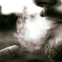 Jacopo De Benedictis的照片